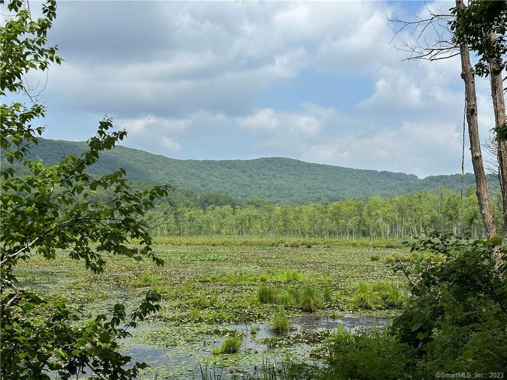 13 Mud Pond Road