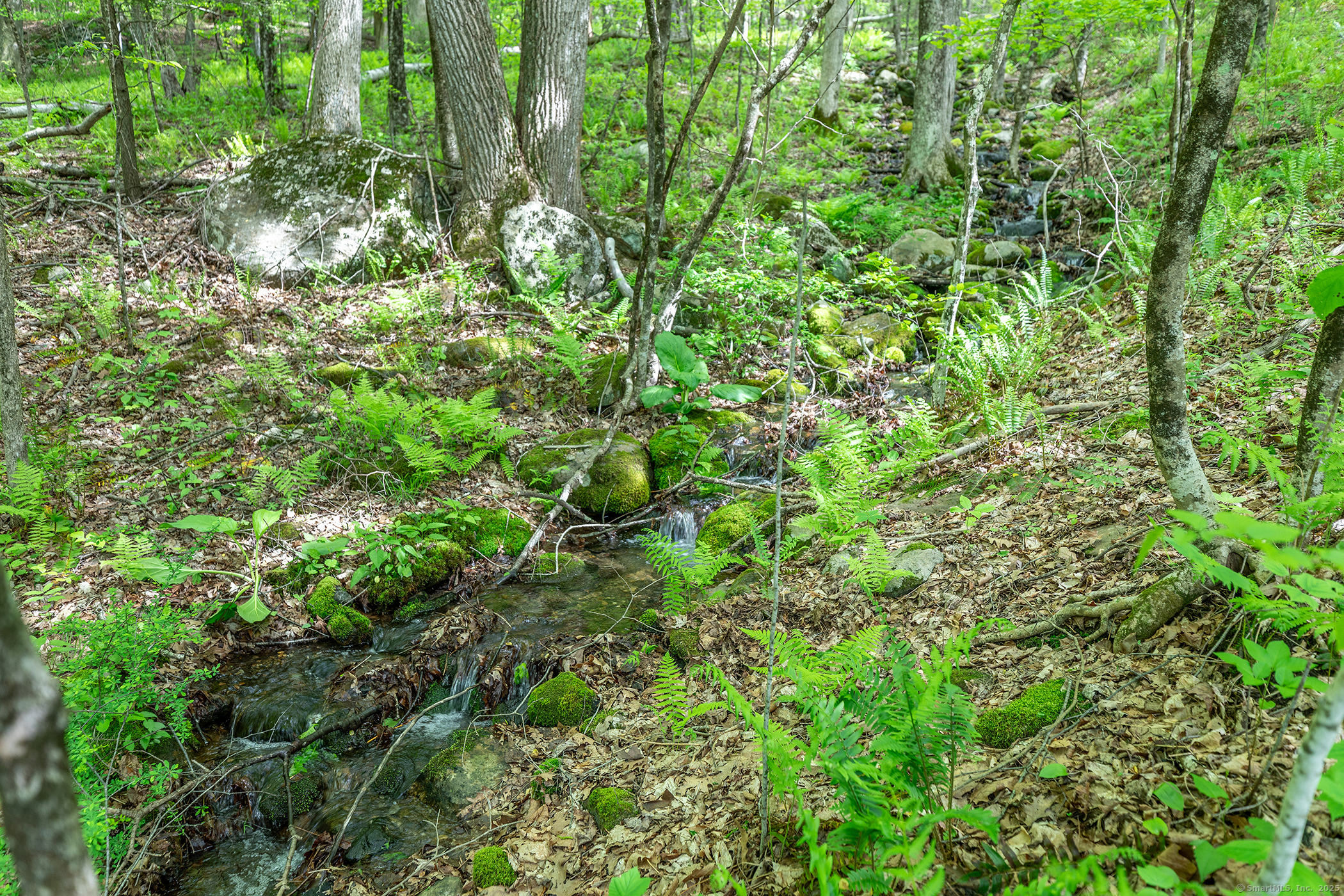 162 Mud Pond Road