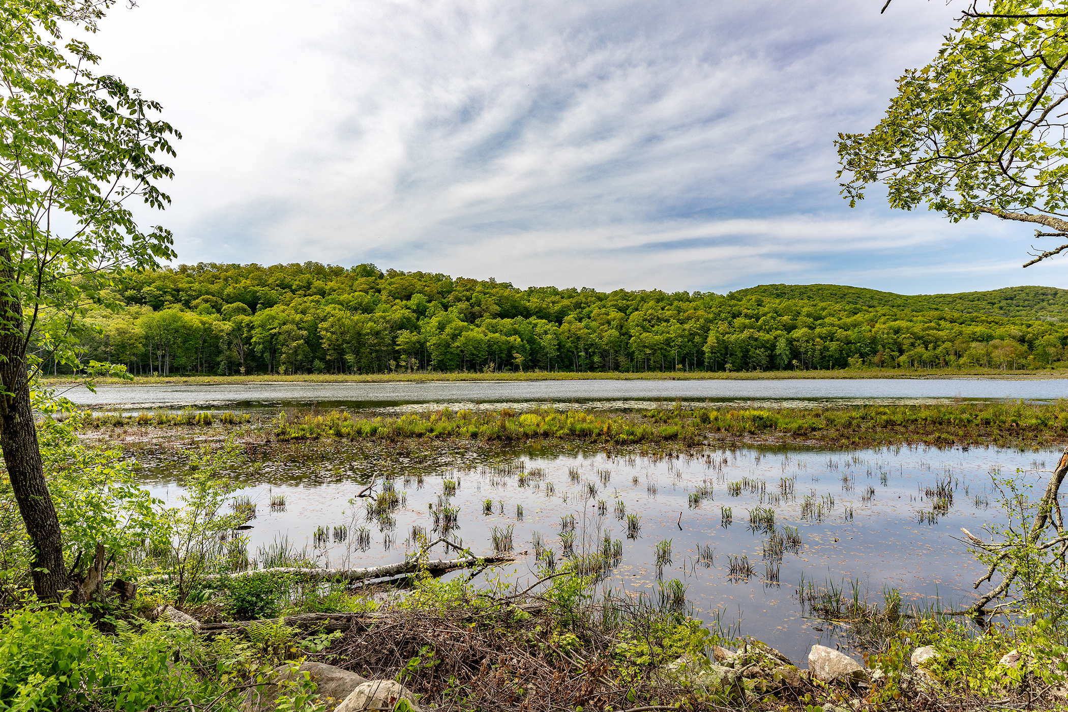 162 Mud Pond Road