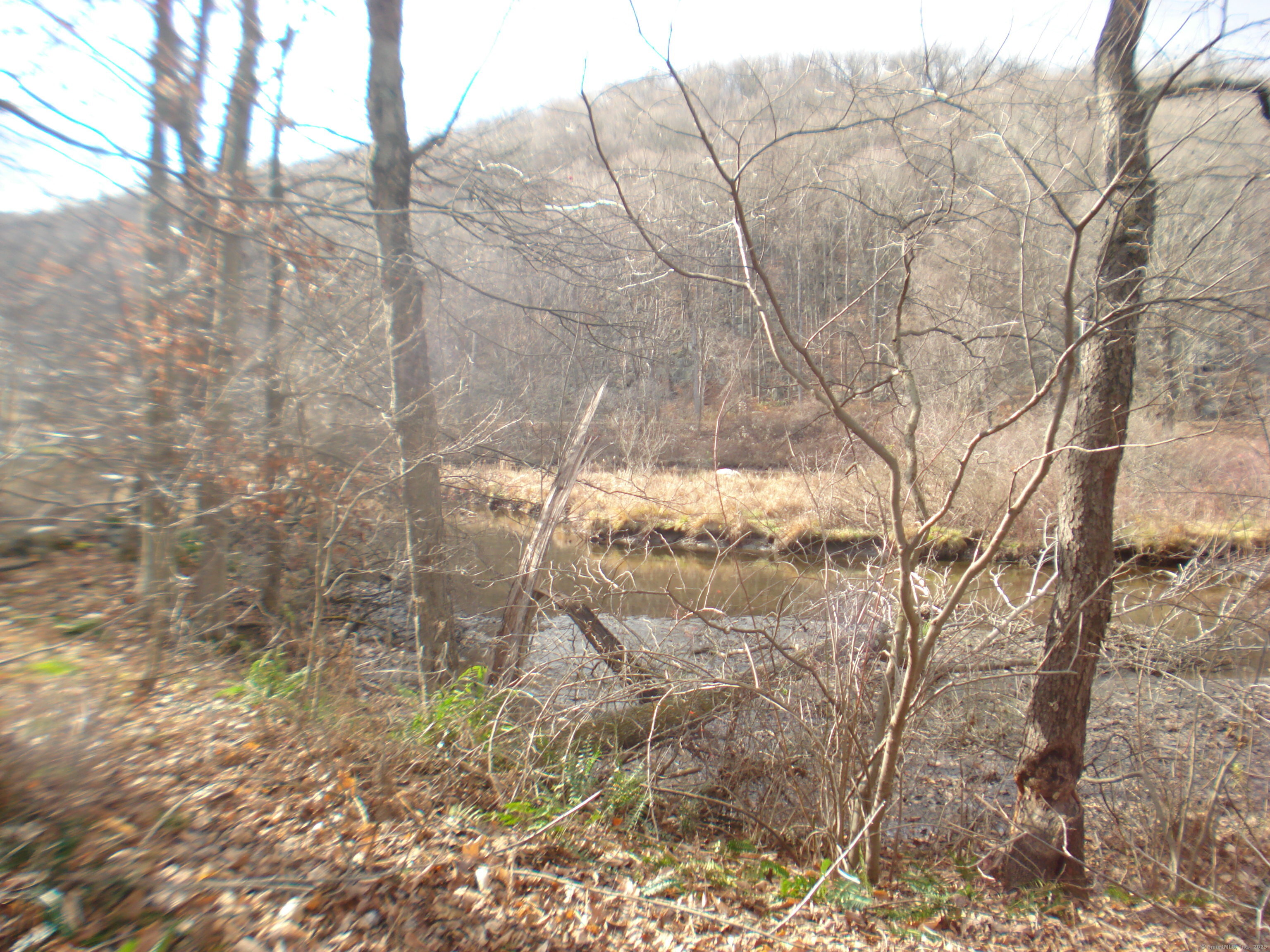Rte 39 South, State Route