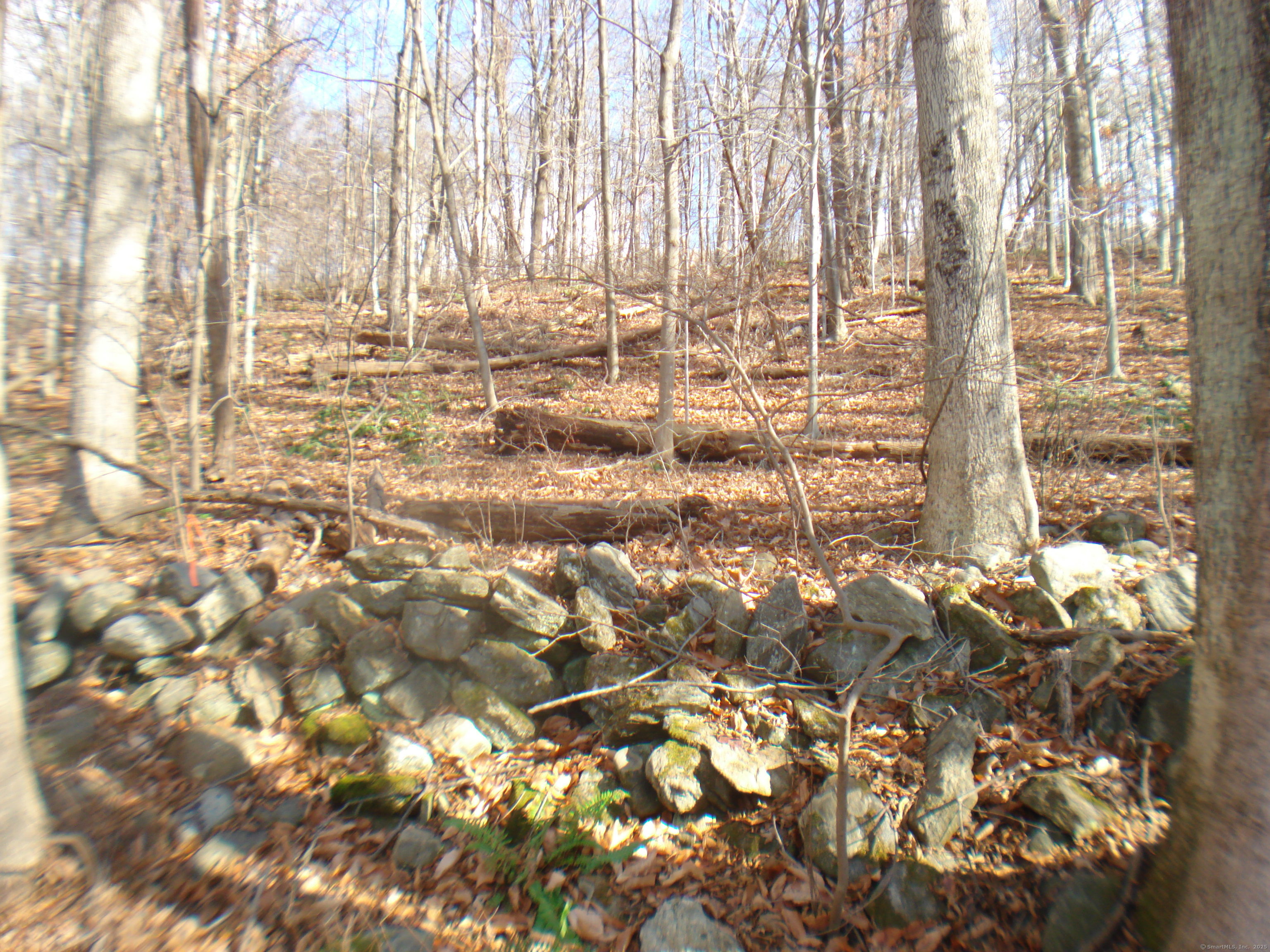 Rte 39 South, State Route