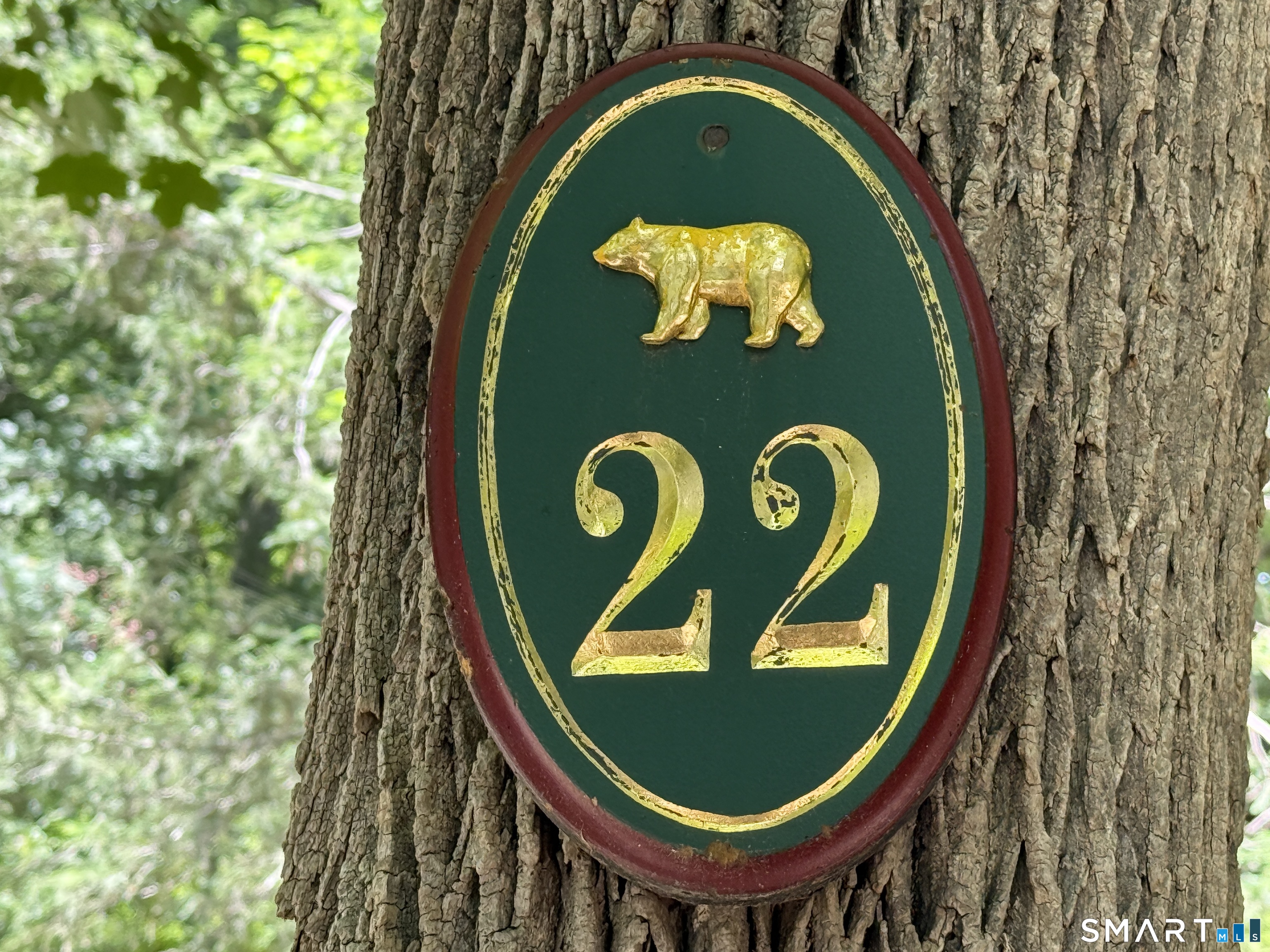 22 Luta Heights