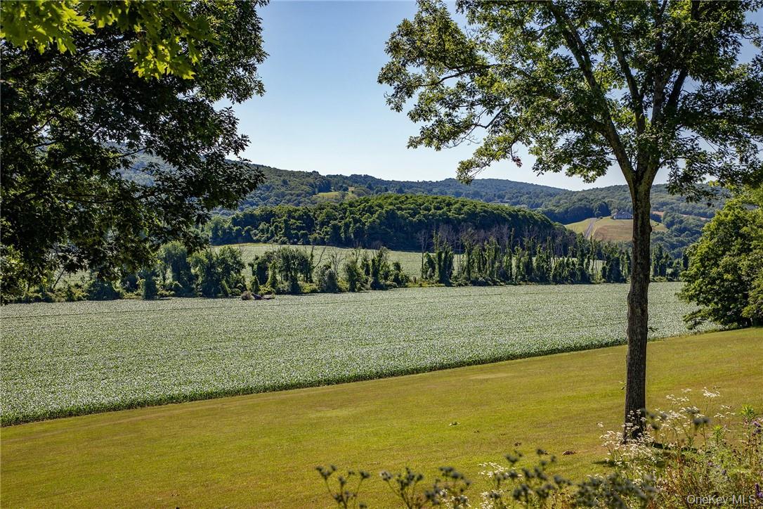 617 BEAN RIVER Road