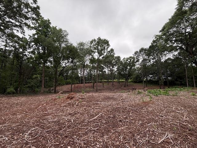 0 Peachview Boulevard