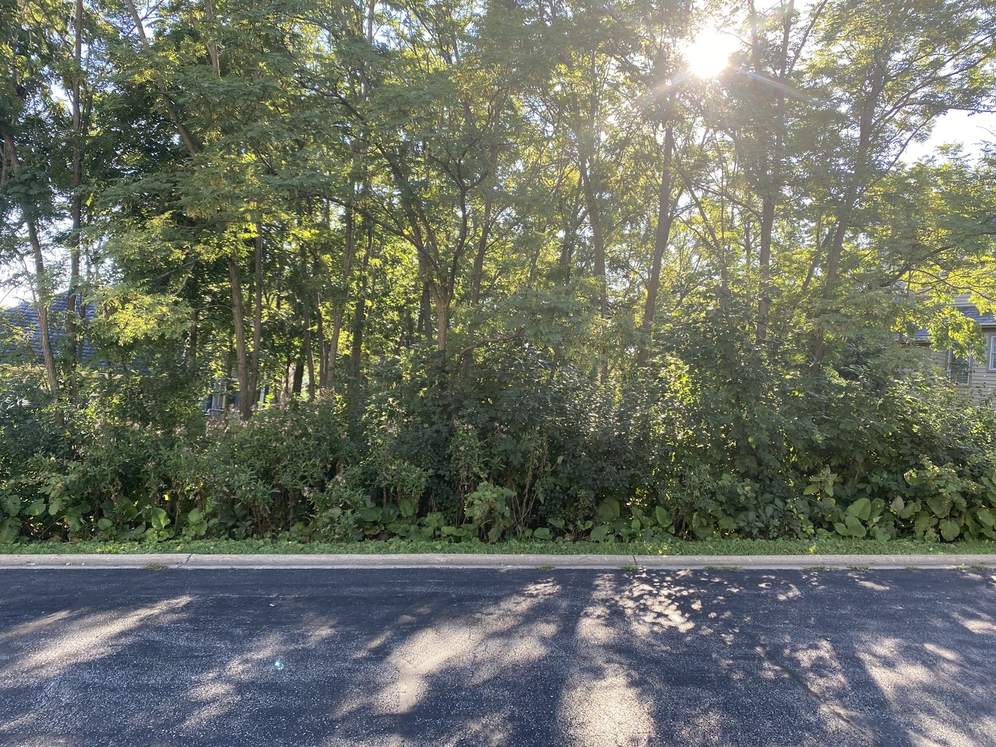 28488 Seminole Court