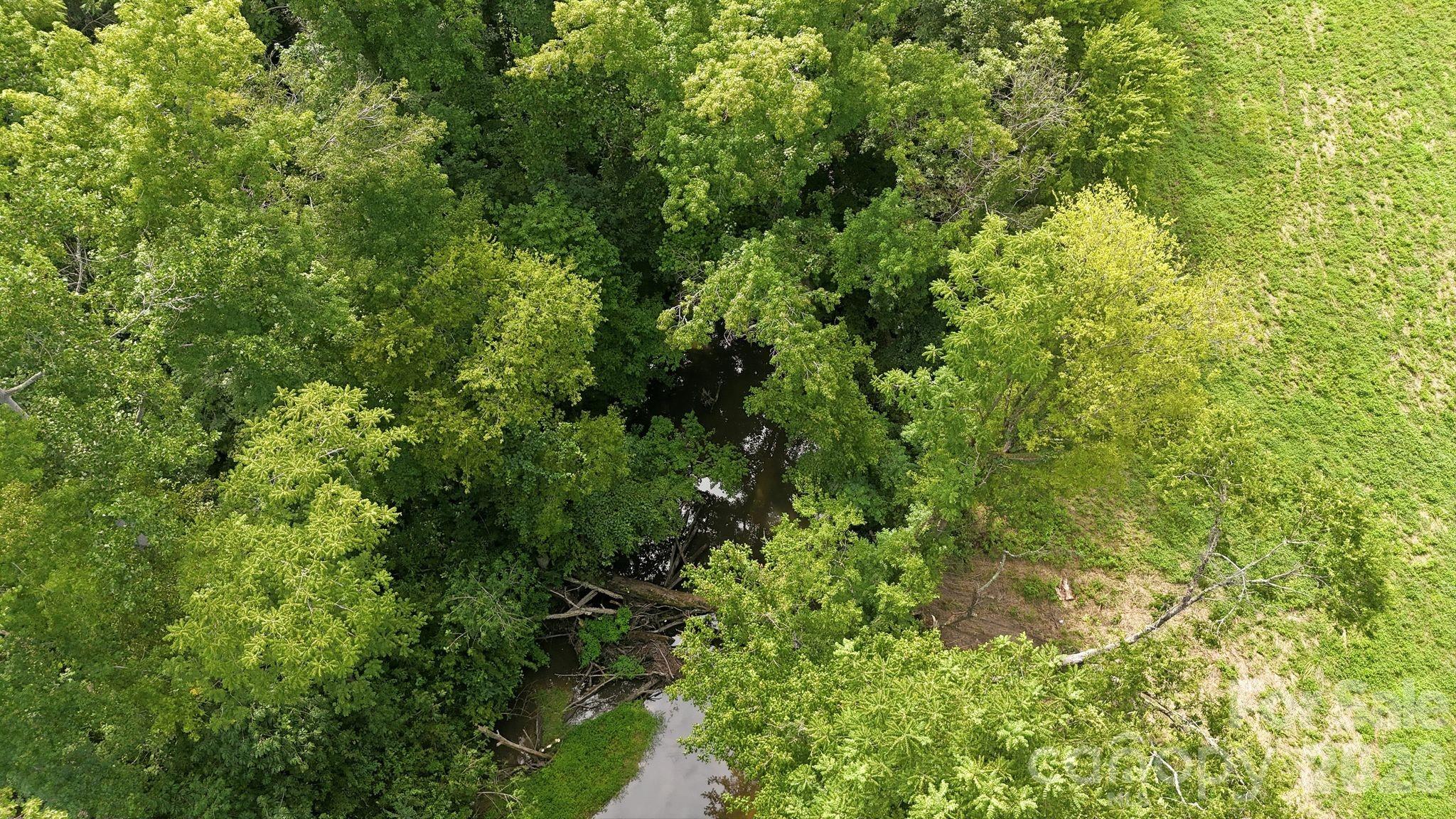 4650 Forest View Road