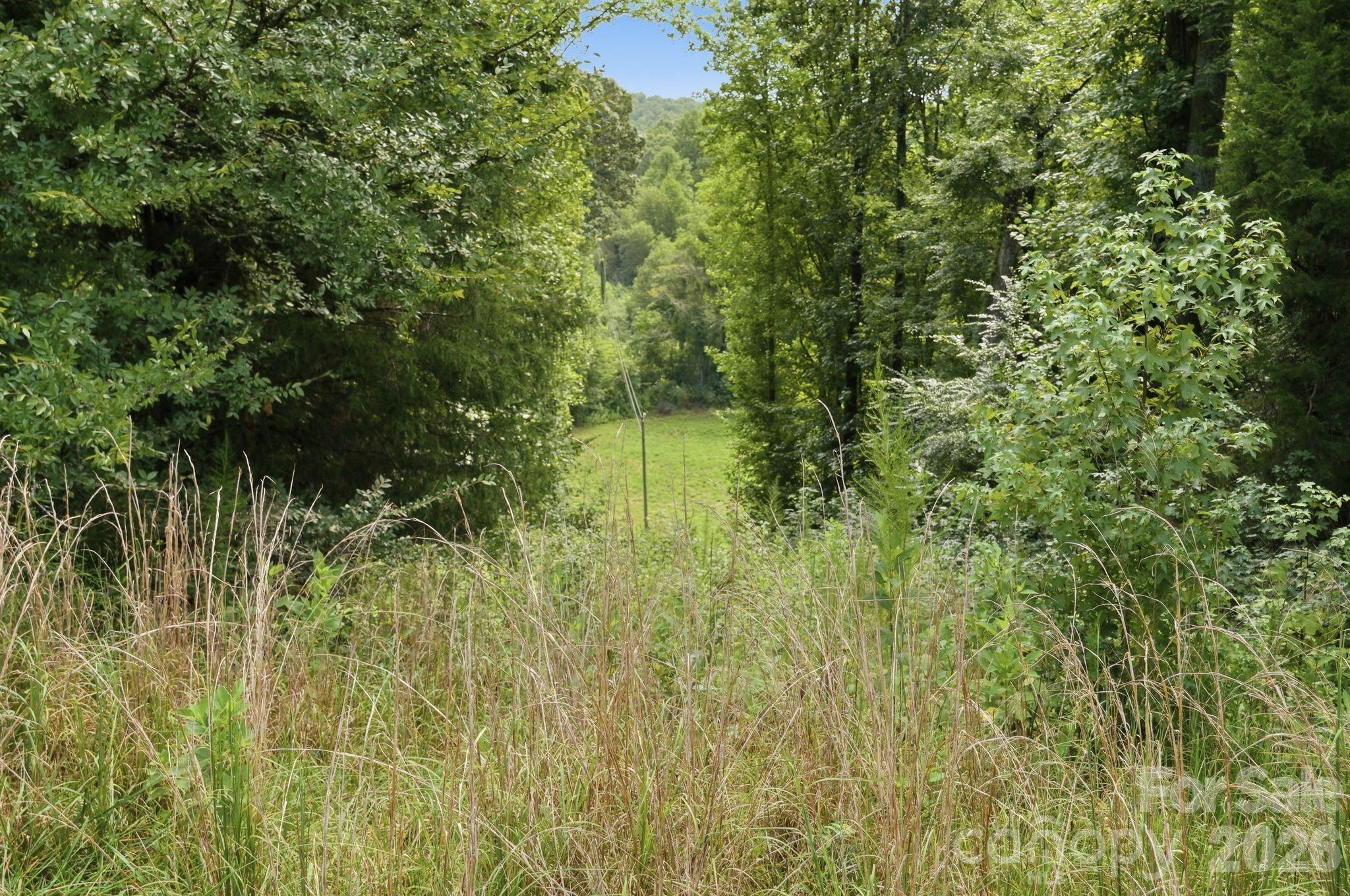 4650 Forest View Road