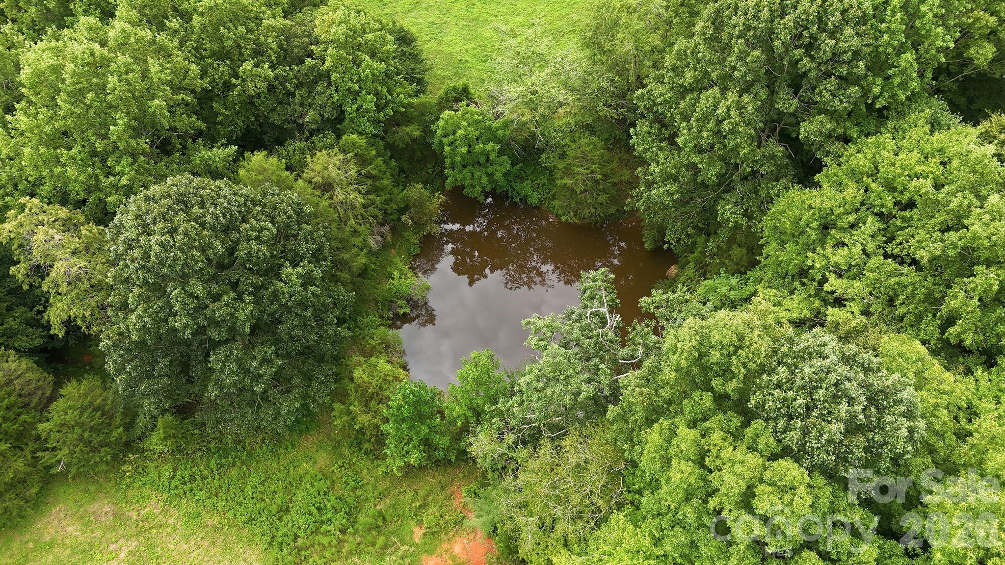 4650 Forest View Road