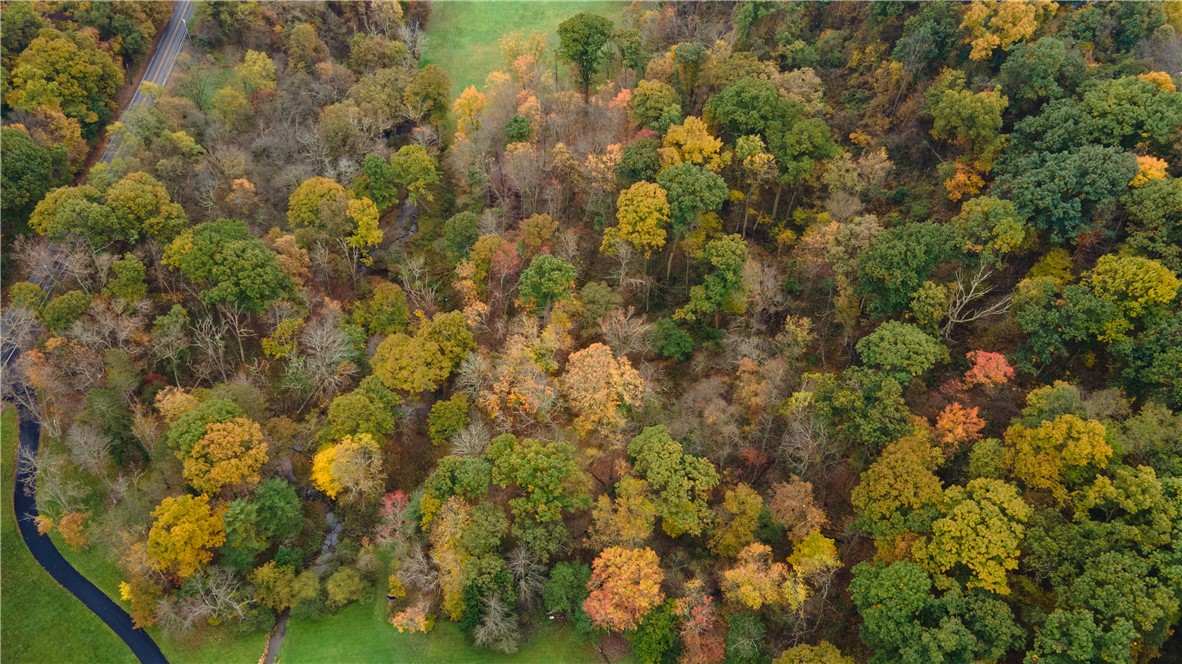 Lots 3&4 Pearce Mill Rd