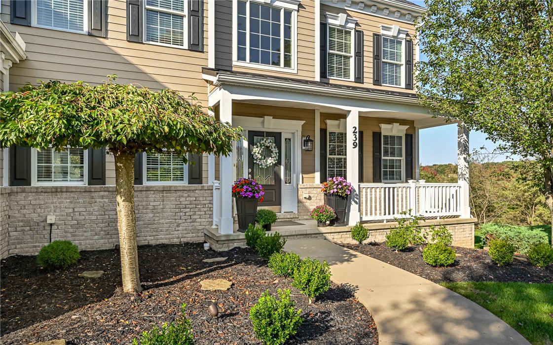239 Pine Crest Ct