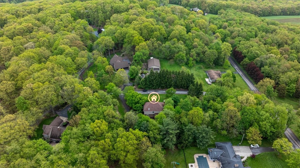 106 Briar Hill Dr