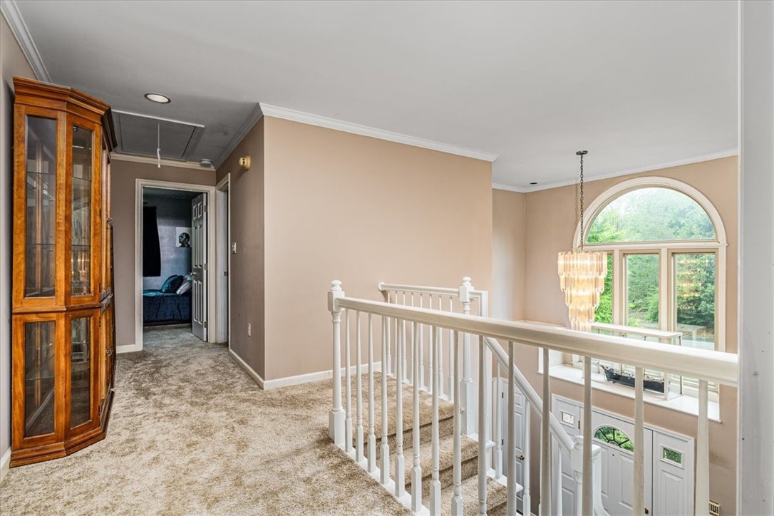 106 Briar Hill Dr