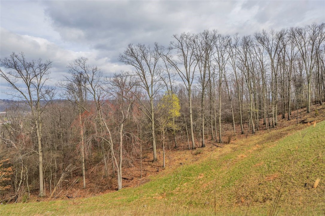 134 Woodsman Ridge Dr