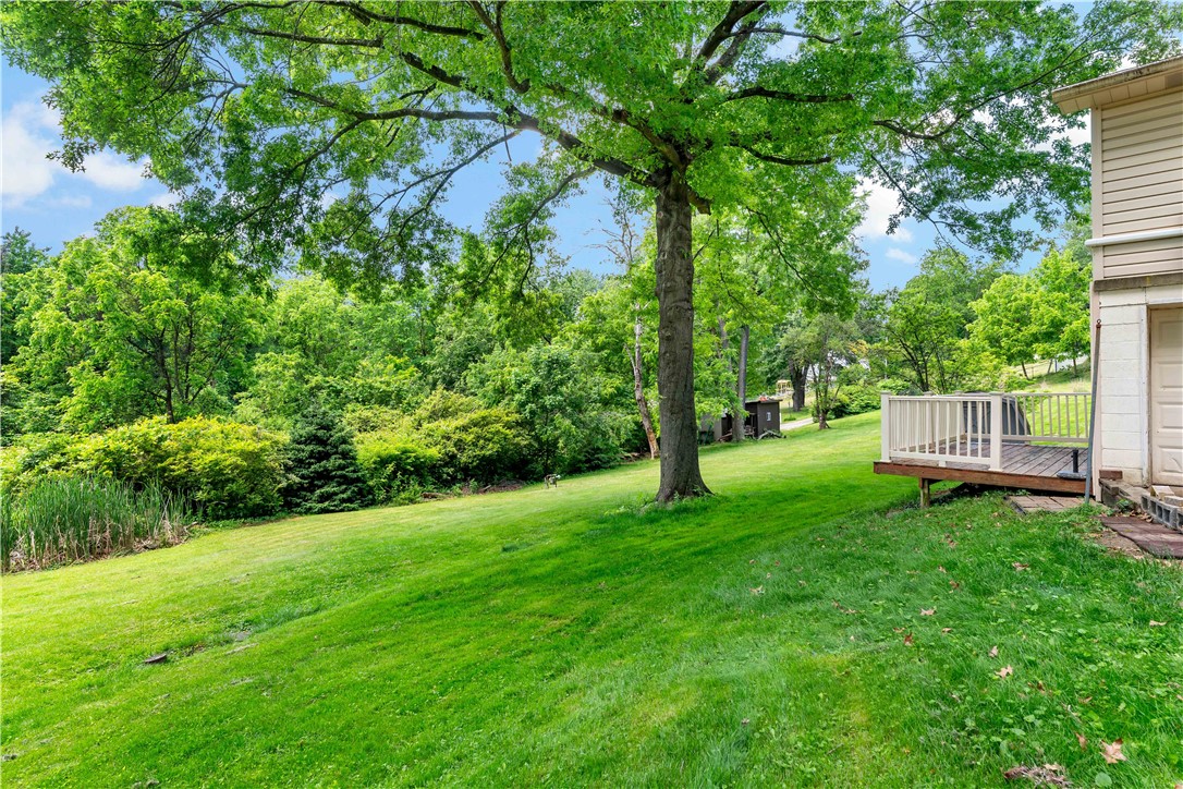 109 Elm Ln