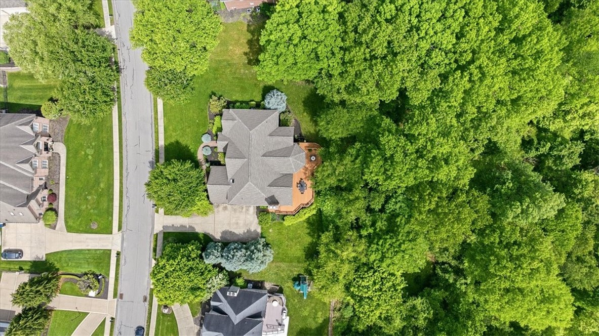 117 Lyndhurst Cir