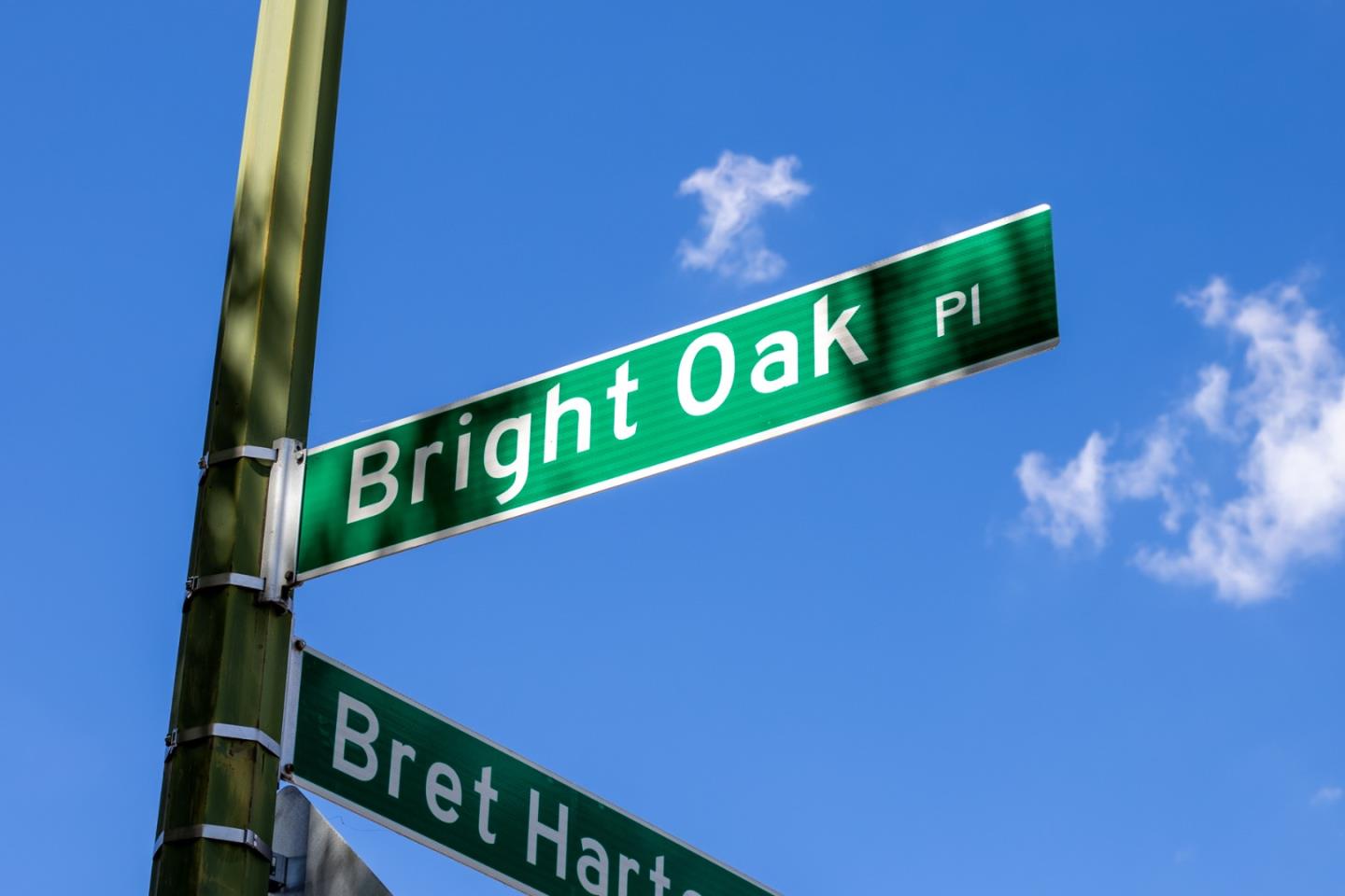 1033 Bright Oak Place