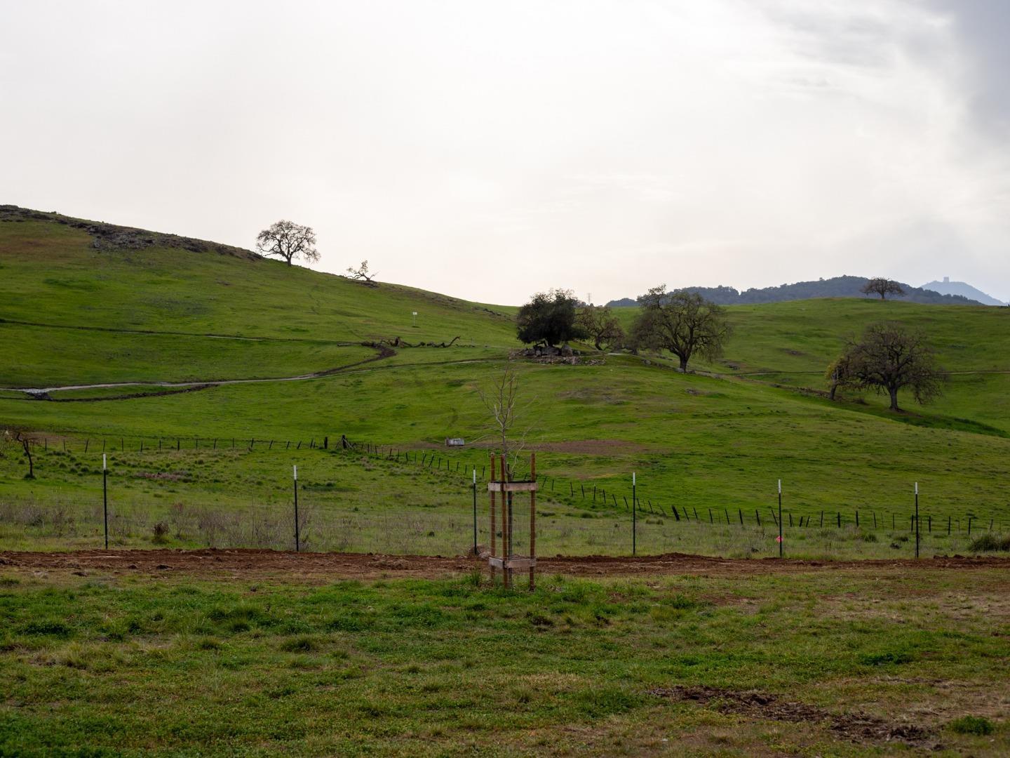1062 Mountain Shadows Road