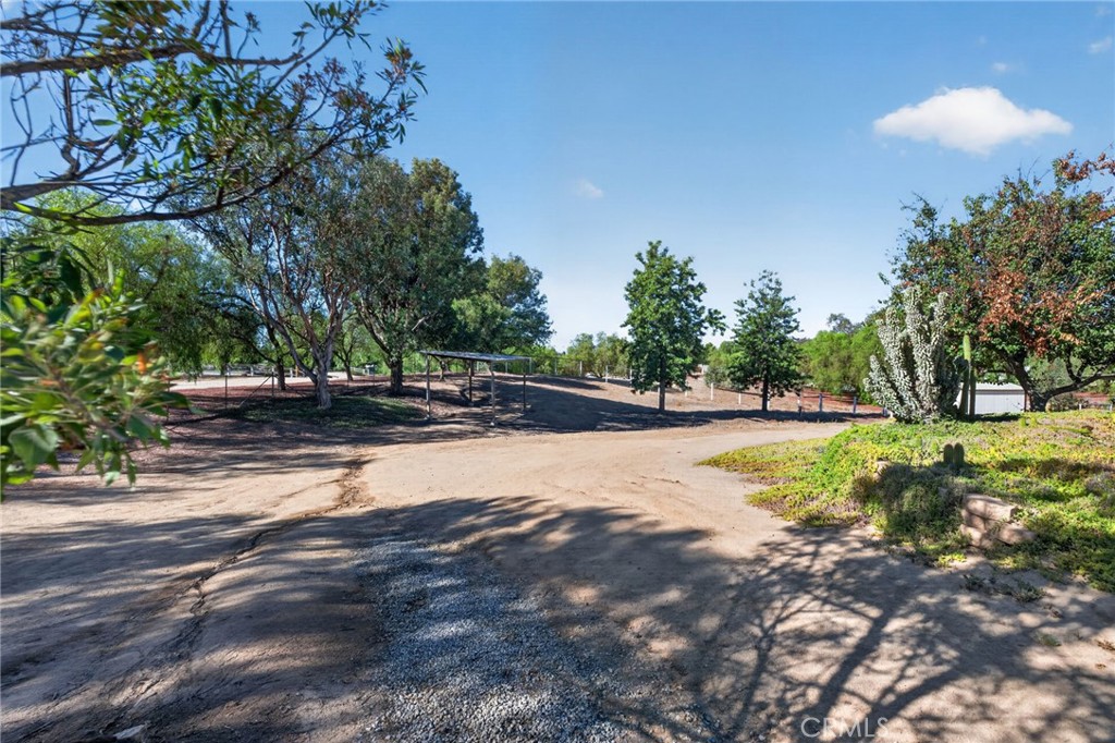 39450 Colleen Way