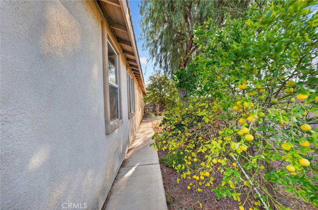 37799 Amber Lane
