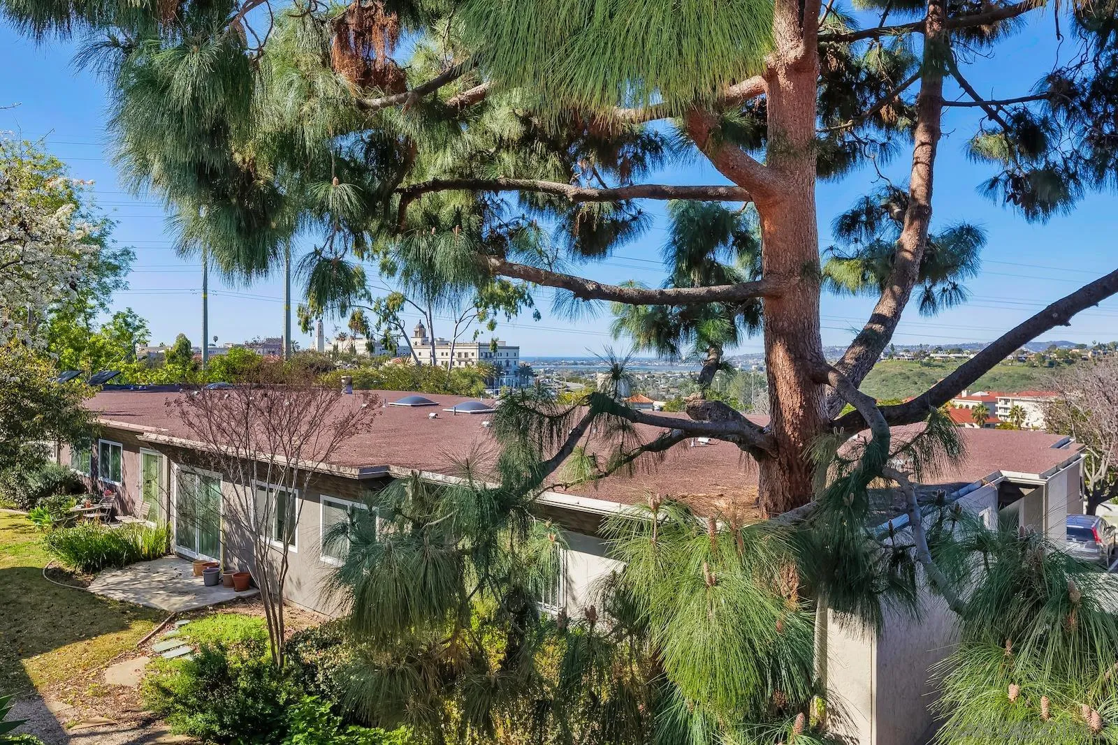 6242 Caminito Luisito