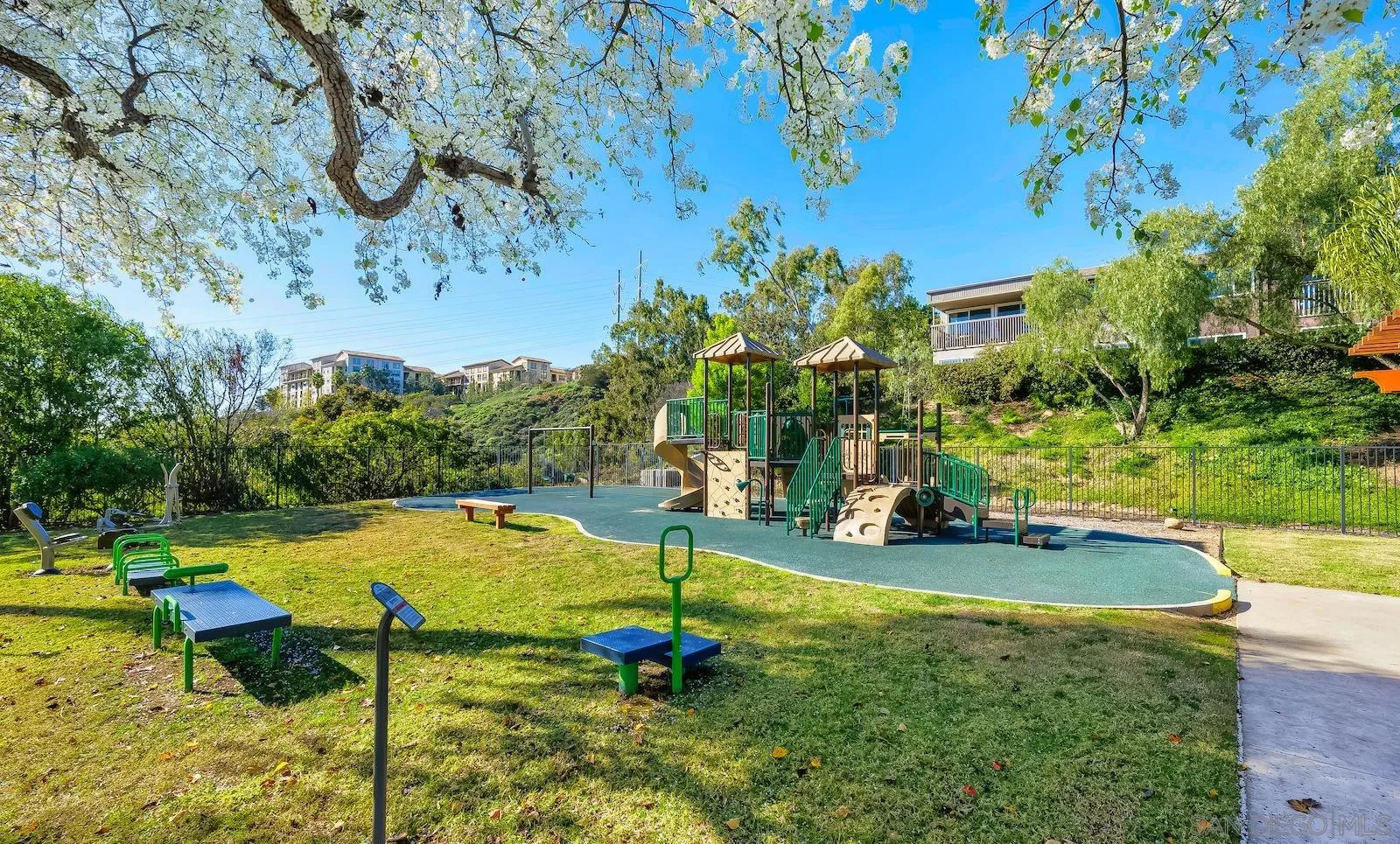 6242 Caminito Luisito