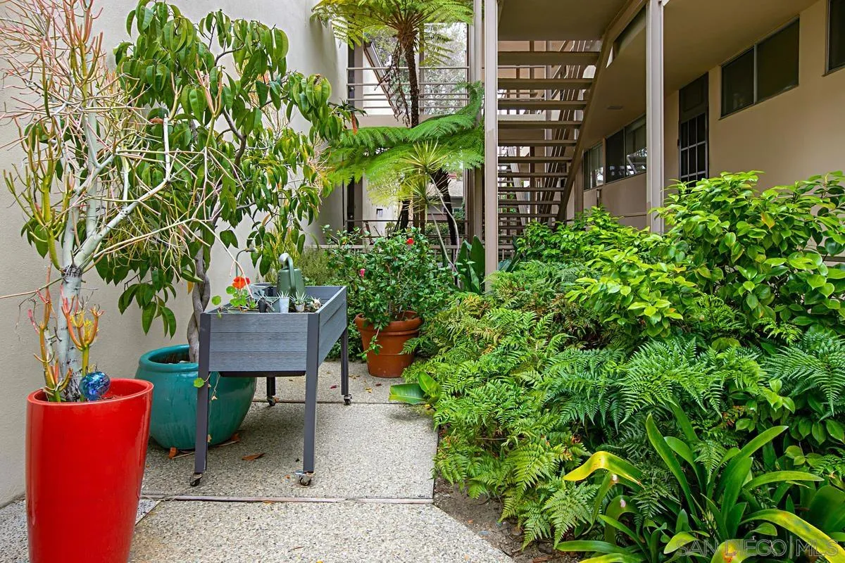 1740 Upas Street # 5