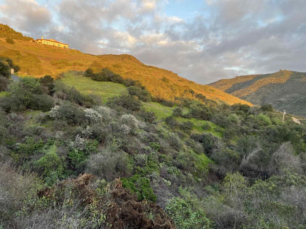 0 Margarita Glen