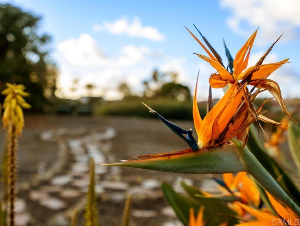 12705 War Horse Street