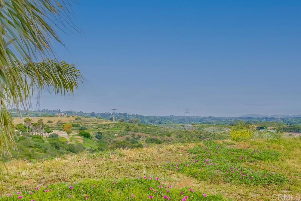 16762 Caminito De Las Palmas