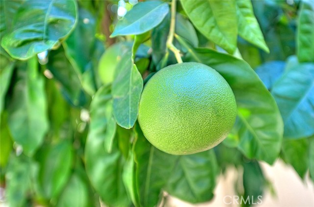 555 Northwood Avenue