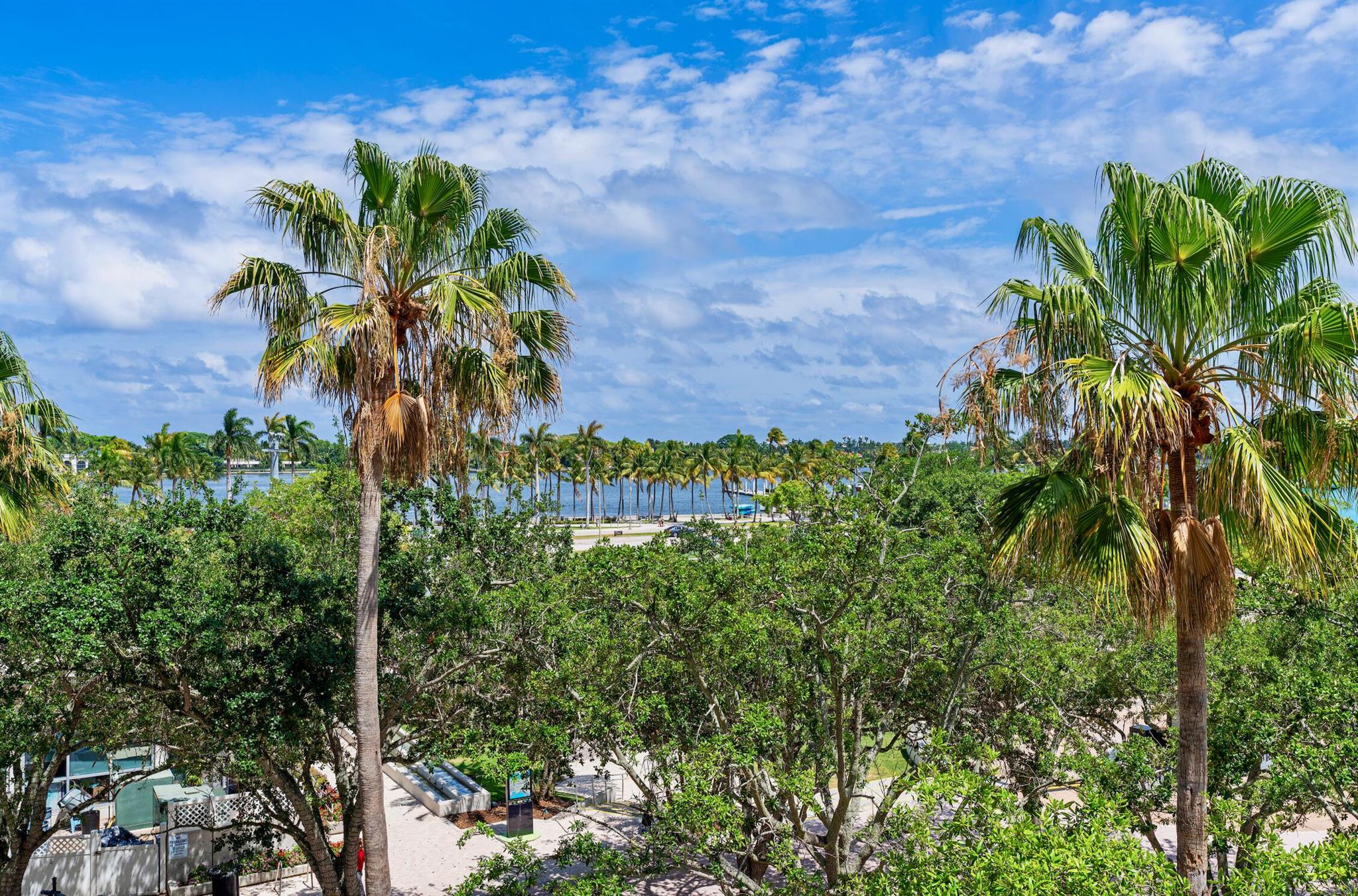 101 N Clematis Street 315
