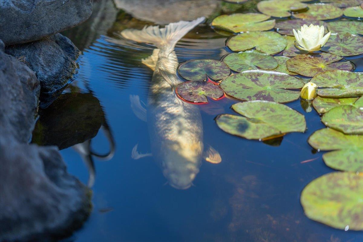 4711 Old San Jose Road