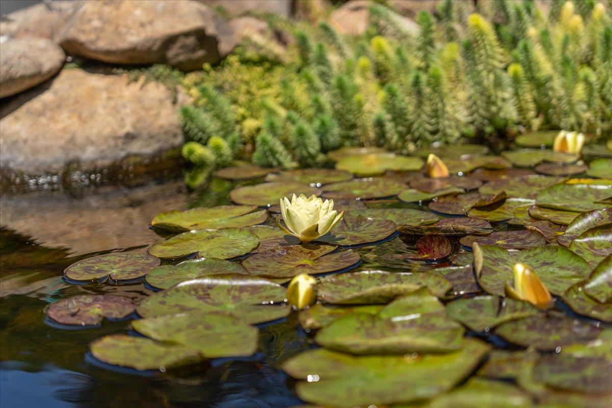 4711 Old San Jose Road