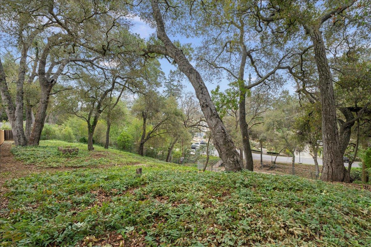 16235 West Ellenwood Avenue