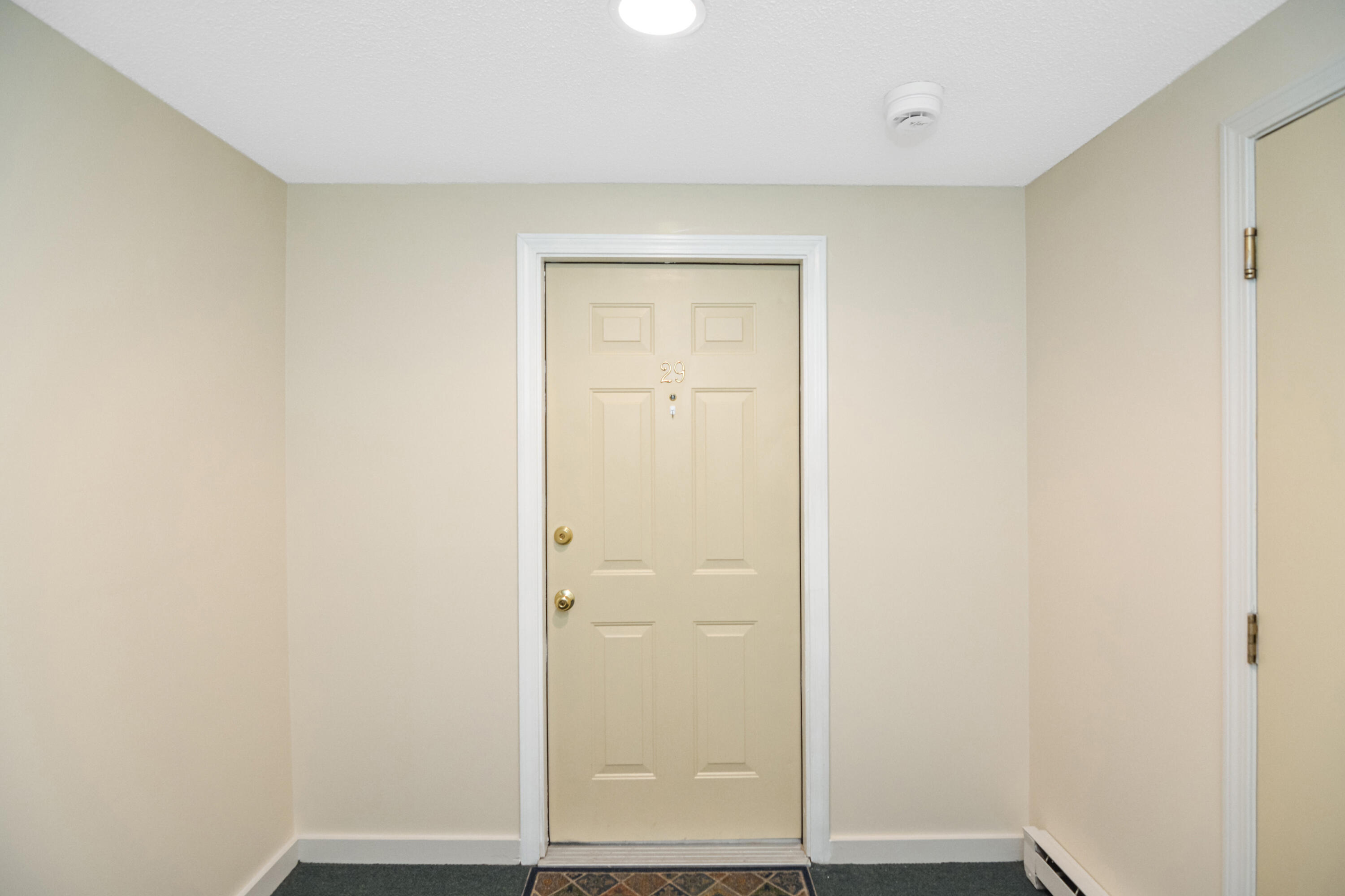 246 E Bridge Street, 29