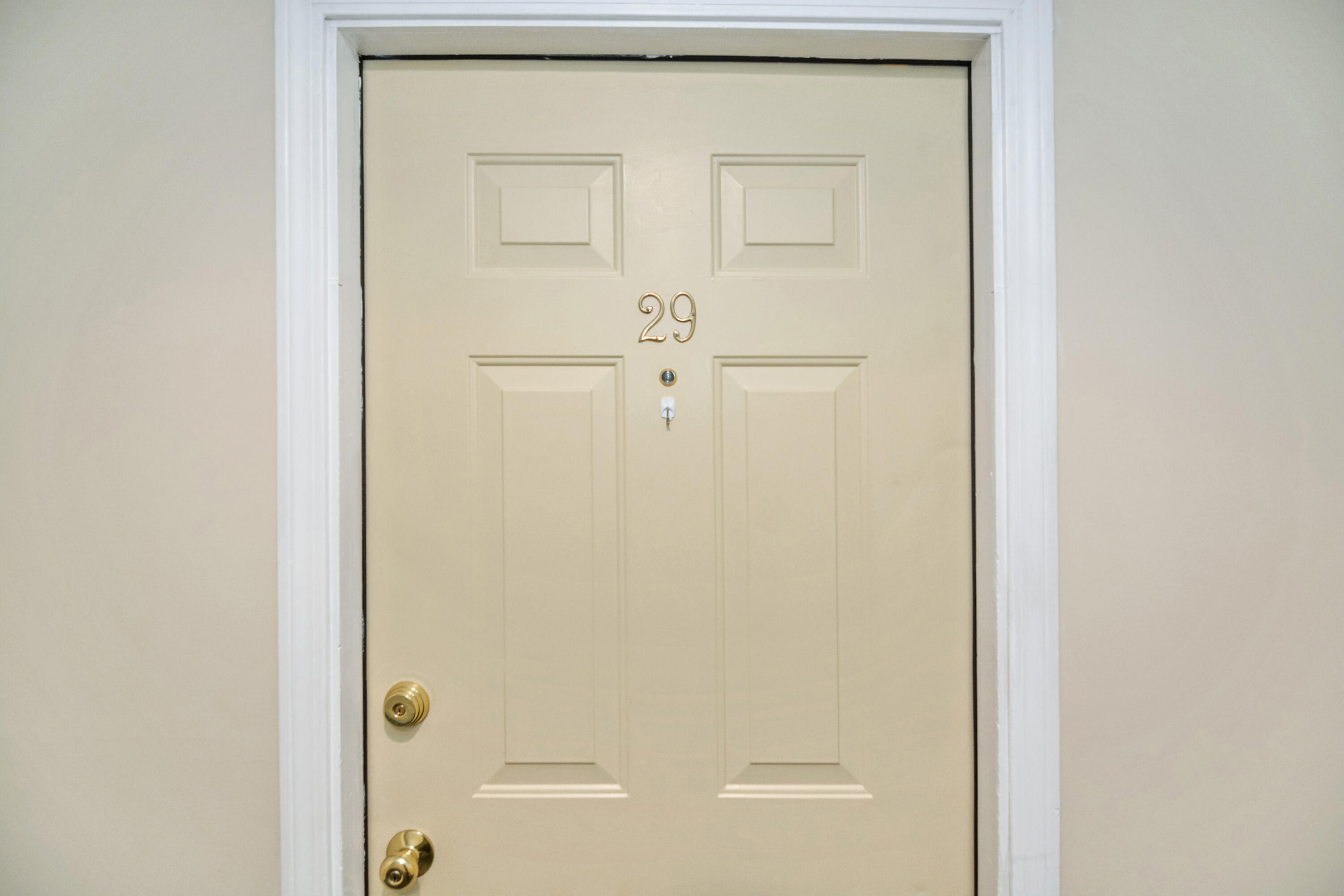 246 E Bridge Street, 29