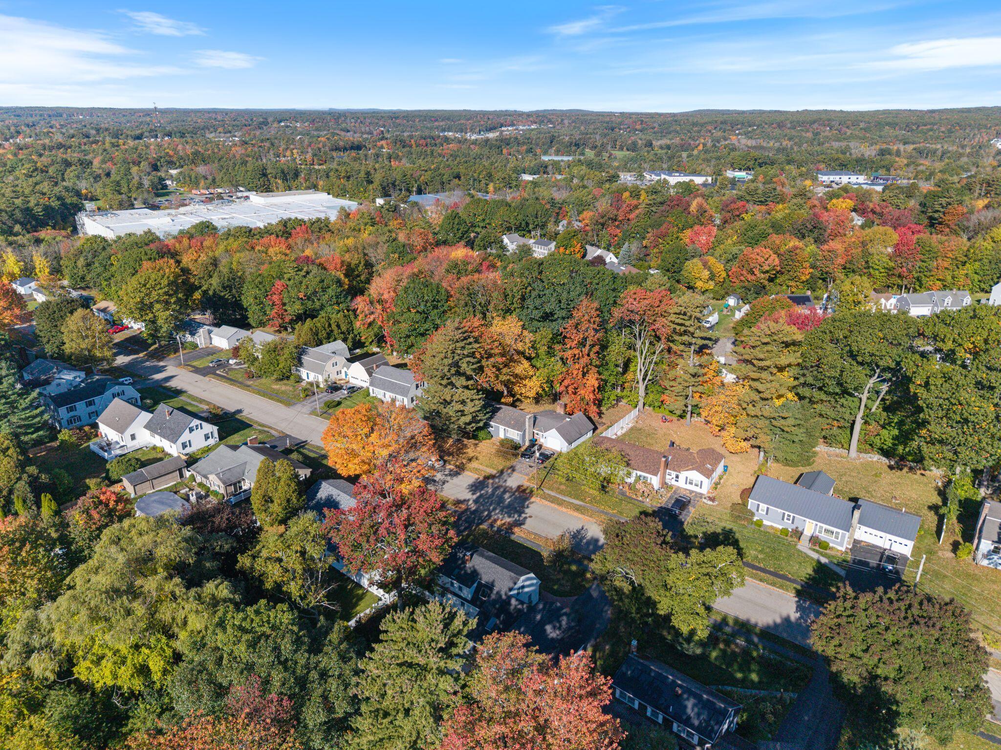 88 Greenwood Lane
