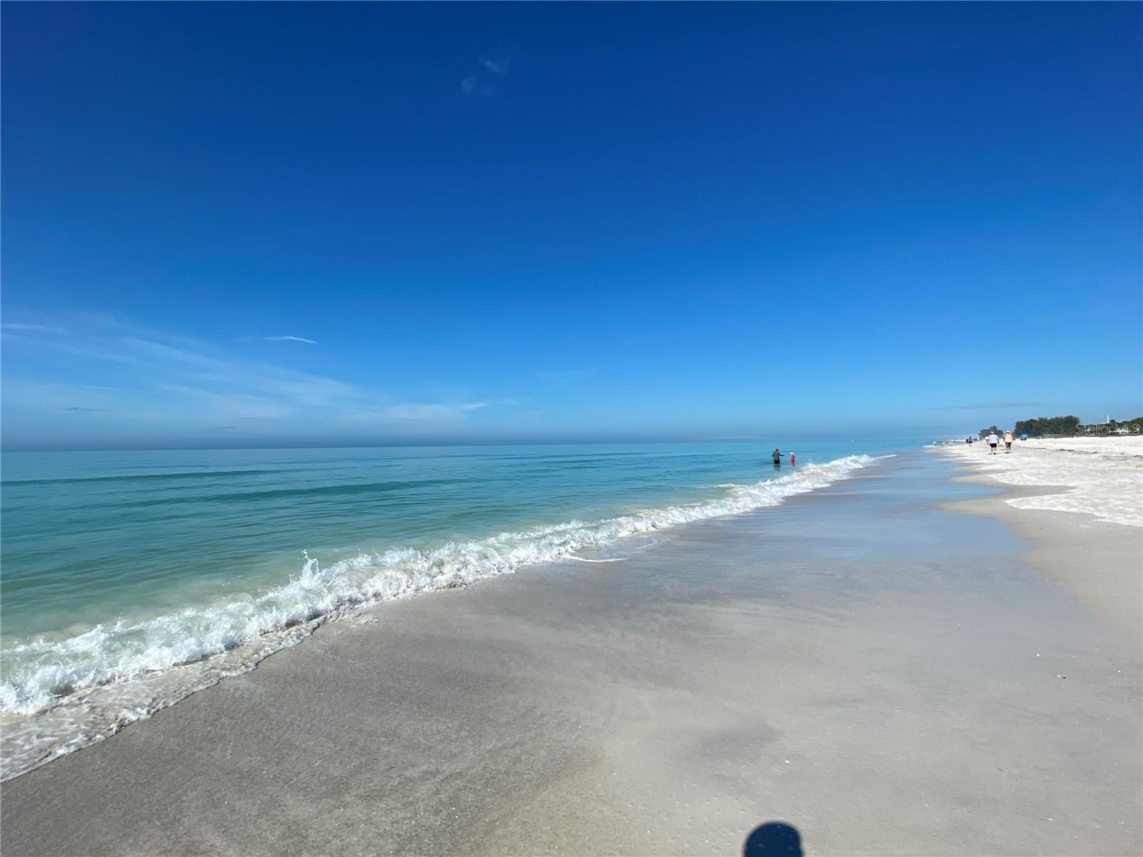 5701 BENTGRASS DR #18-206