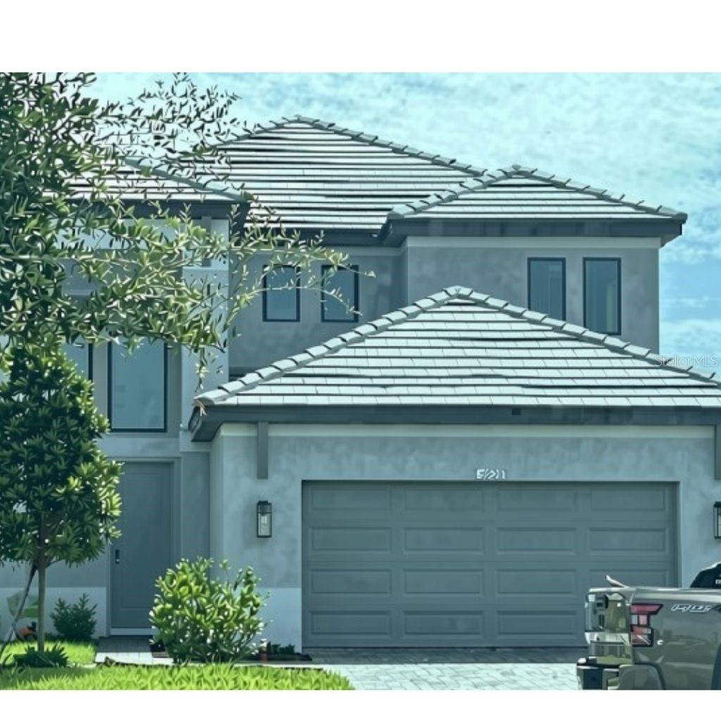 2228 BAMBOO PALM CV