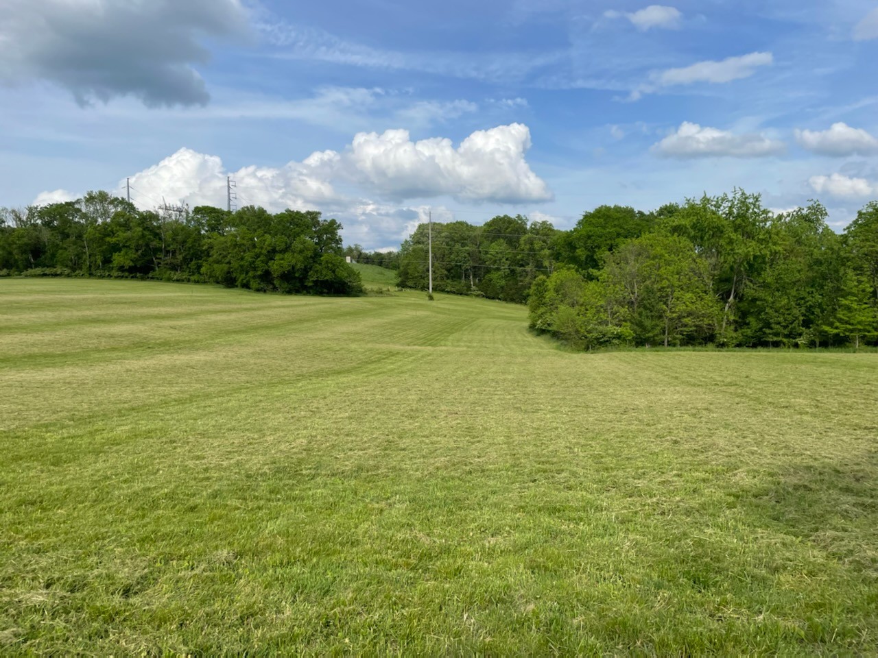 0 Old Smyrna Road, E