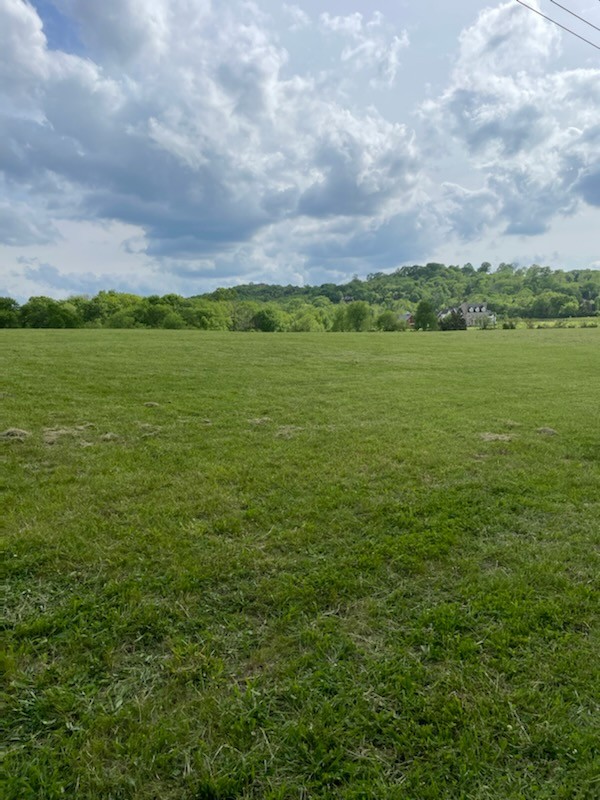 0 Old Smyrna Road, E