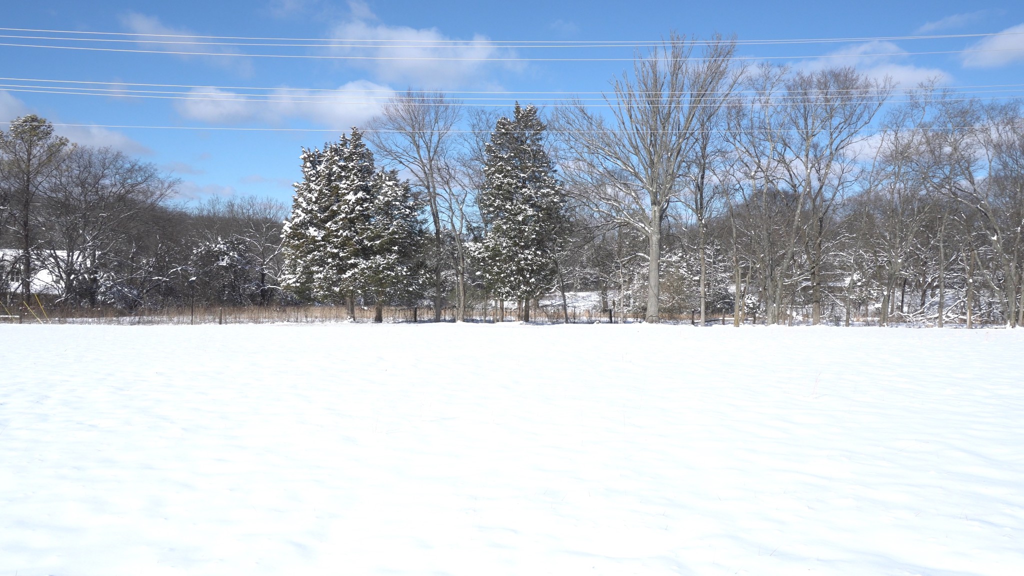0 Old Smyrna Road, E