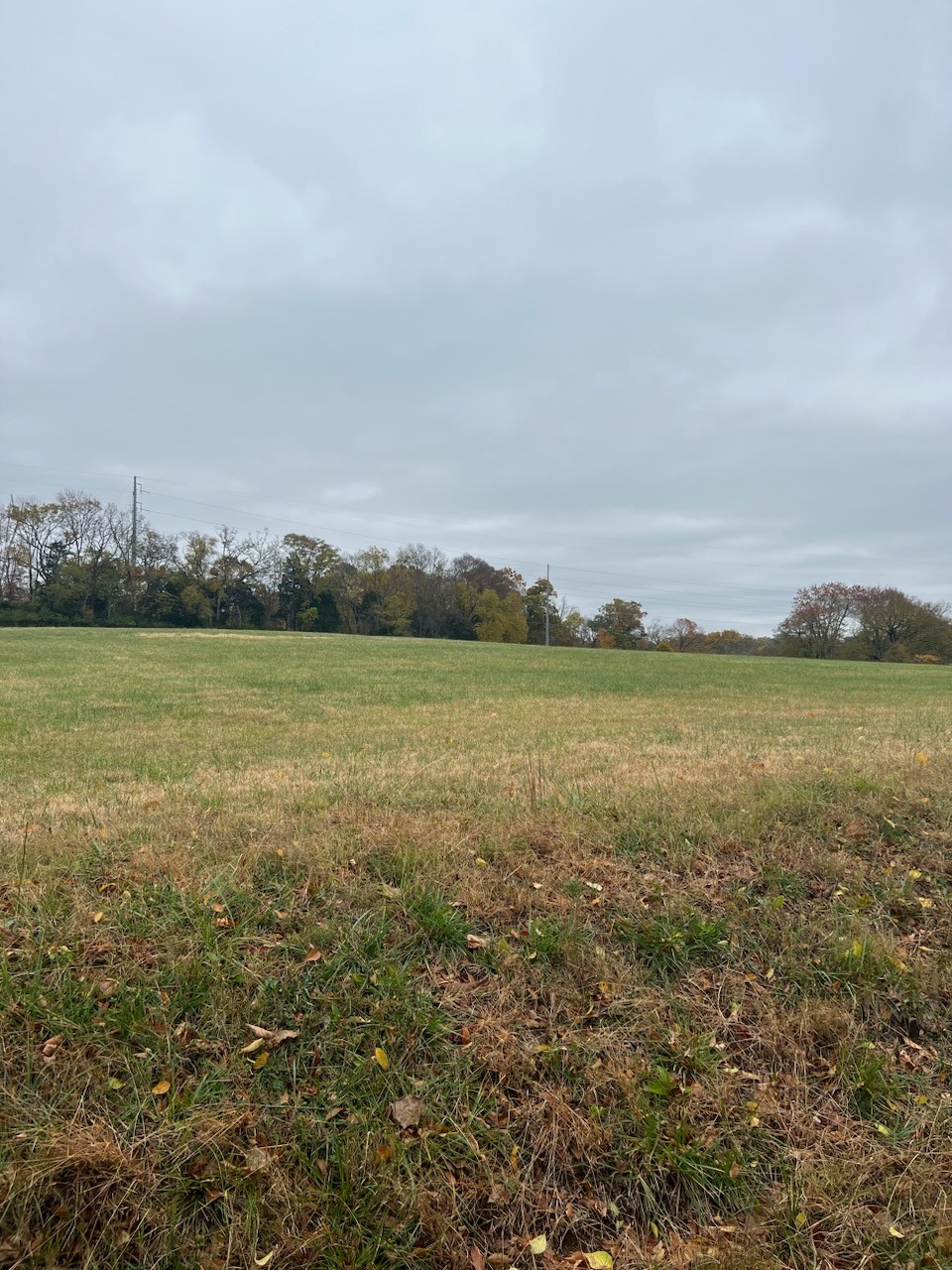 0 Old Smyrna Road, E