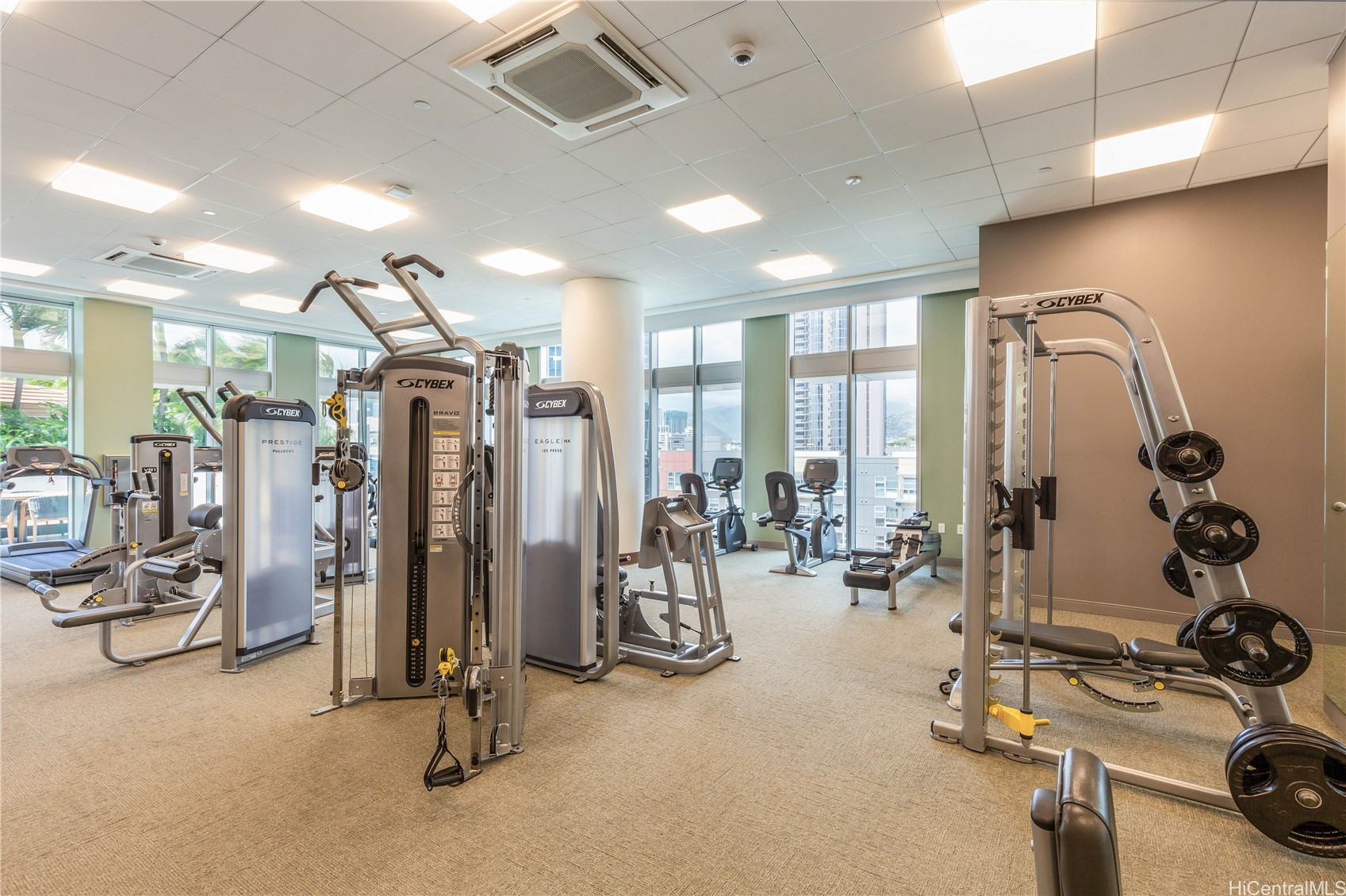 Fitness center with Cybex weight machines and large windows overlooking nearby buildings.