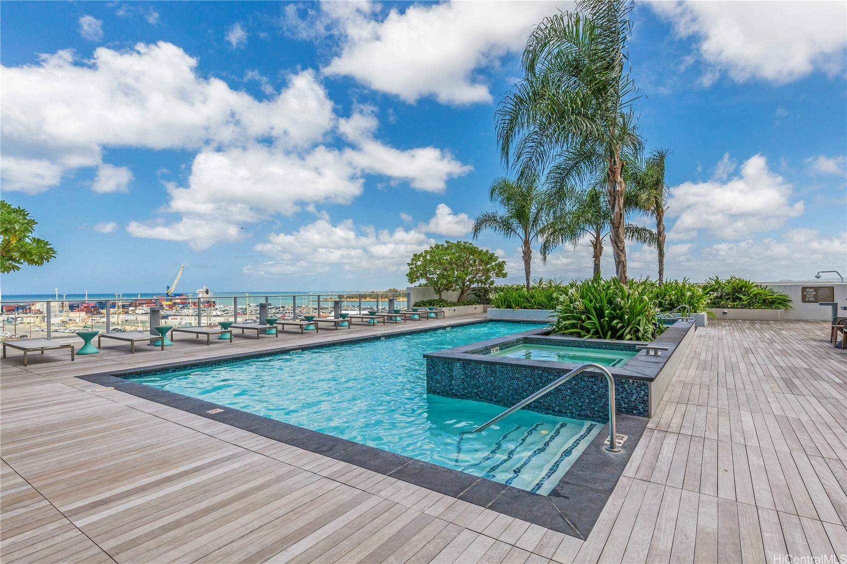 Rooftop pool and spa deck with palm trees and harbor views.