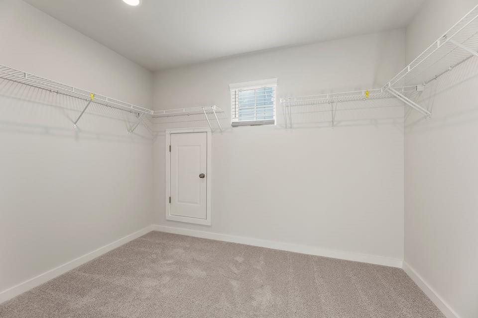 2831 Bufflehead Bluff