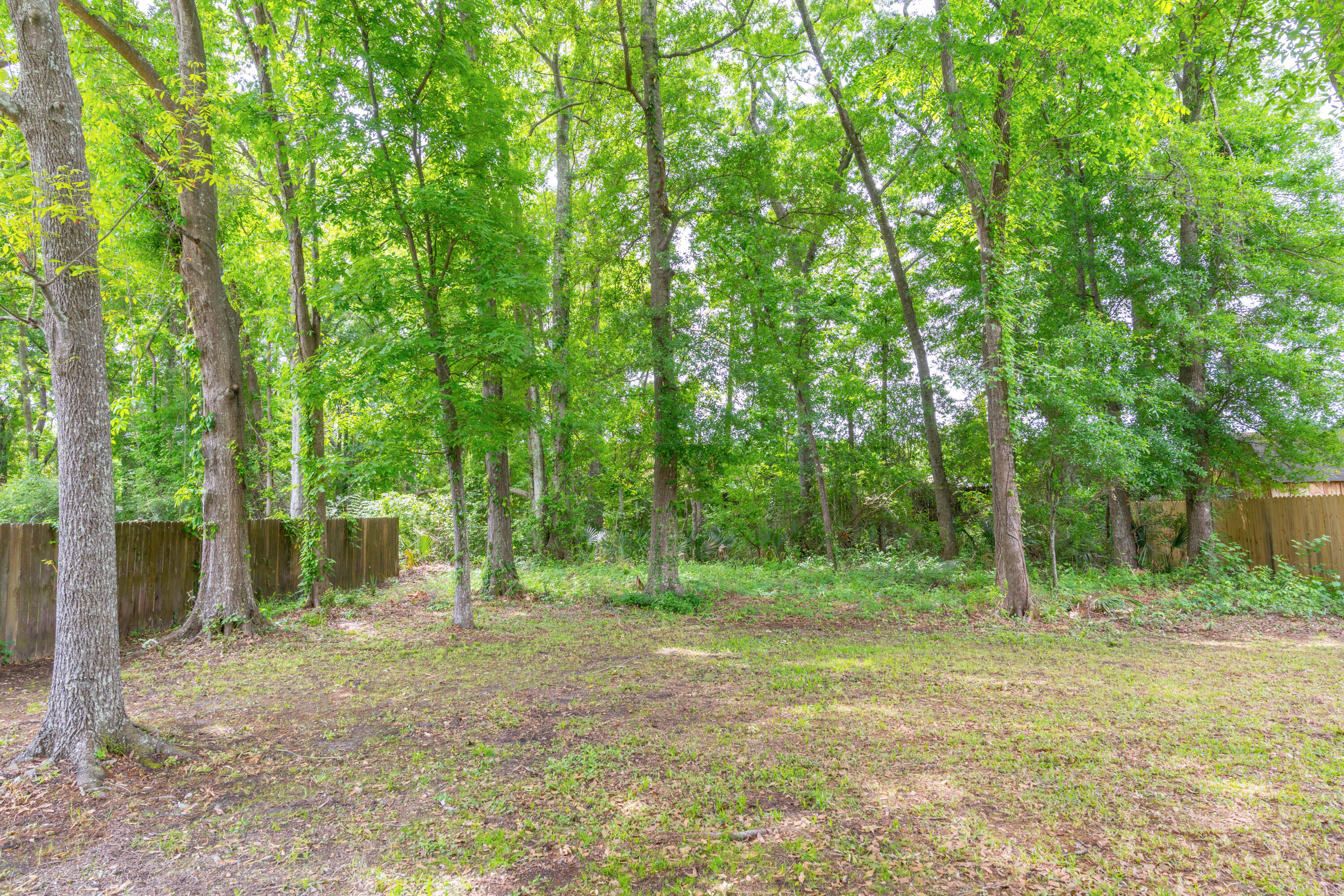 13 Timberleaf Court