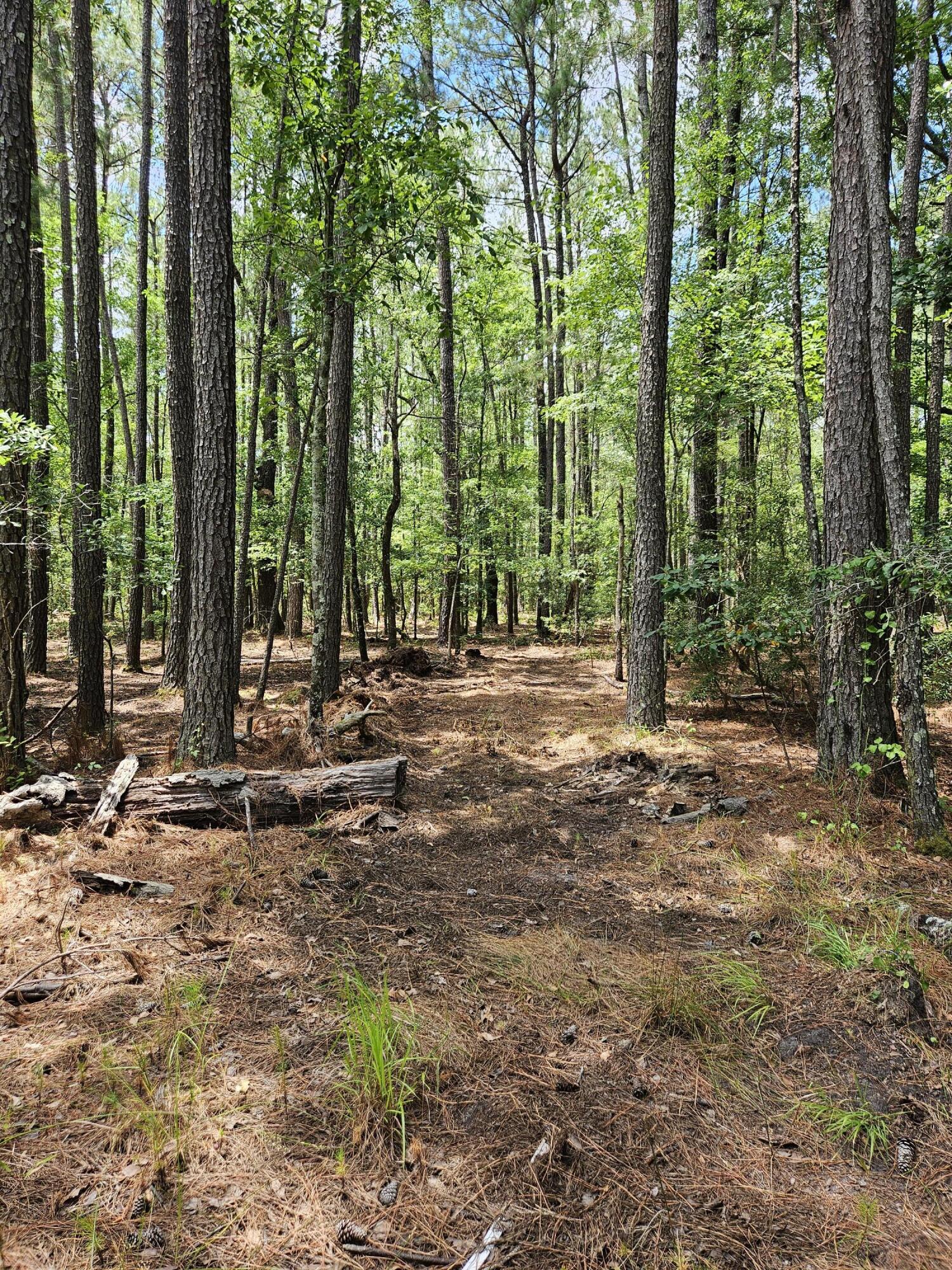8719 Jefferies Highway