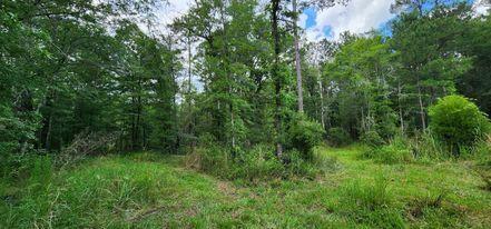 8719 Jefferies Highway