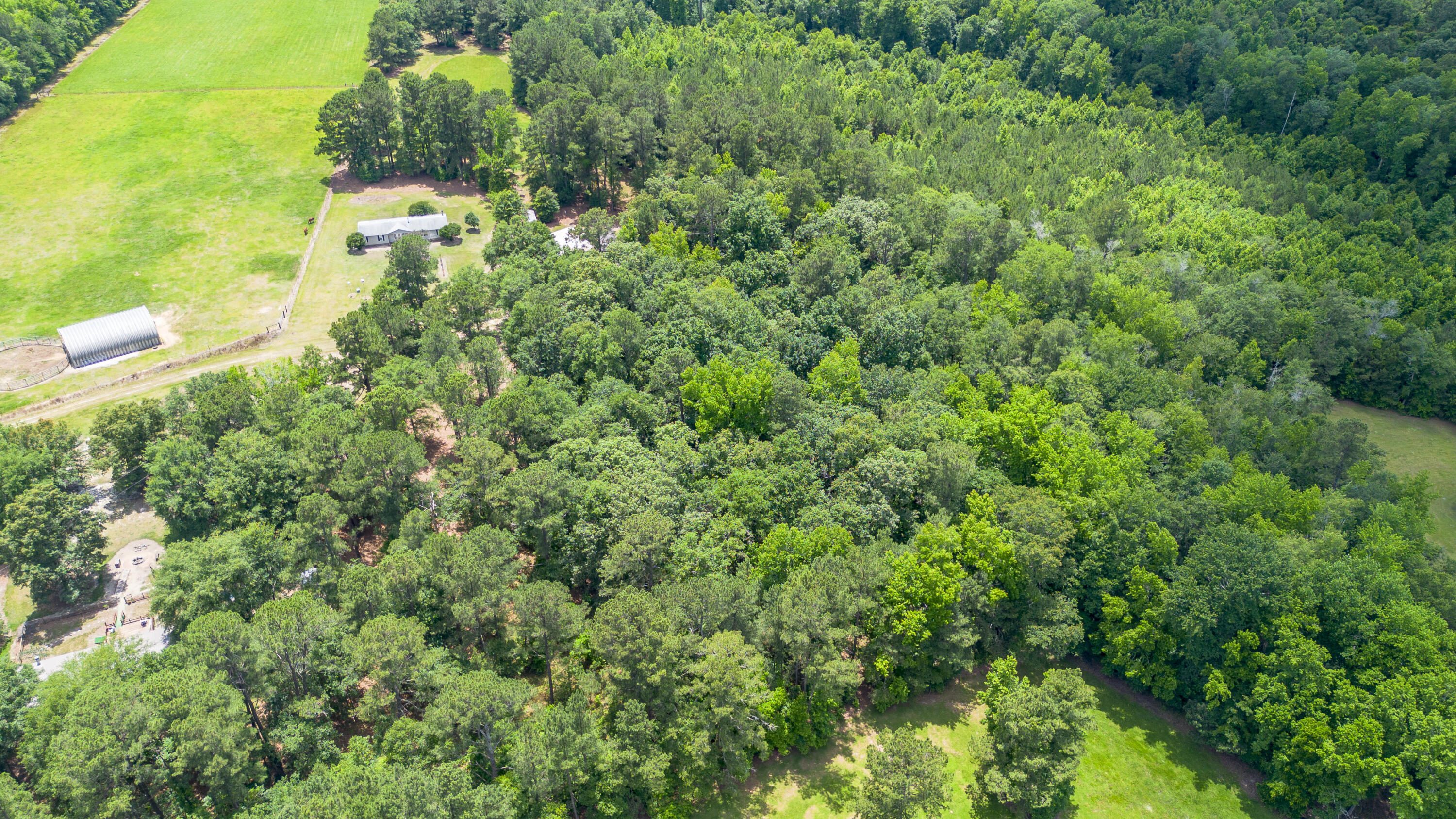 392 Harley Road